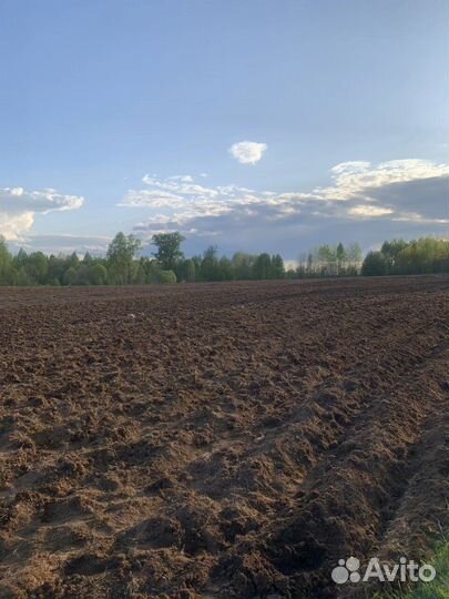 Инвестиции в сельское хозяйство 2023