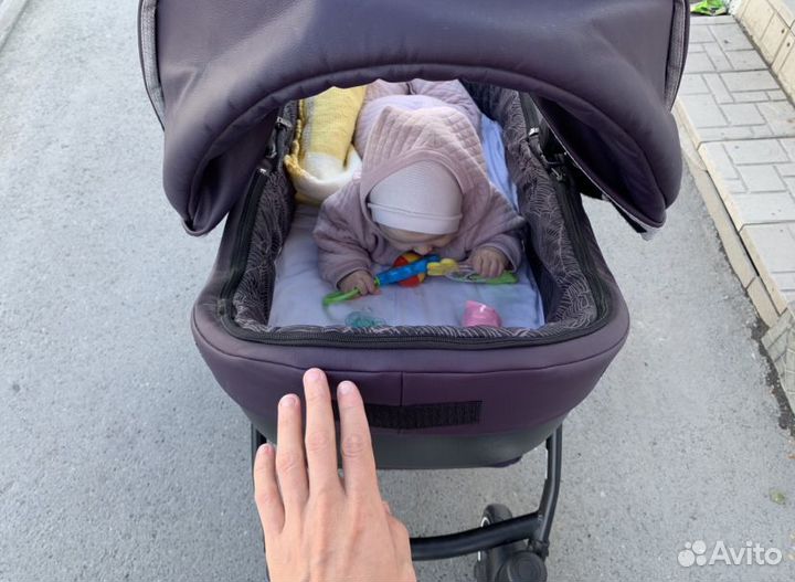 Коляска anex sport 3 в 1