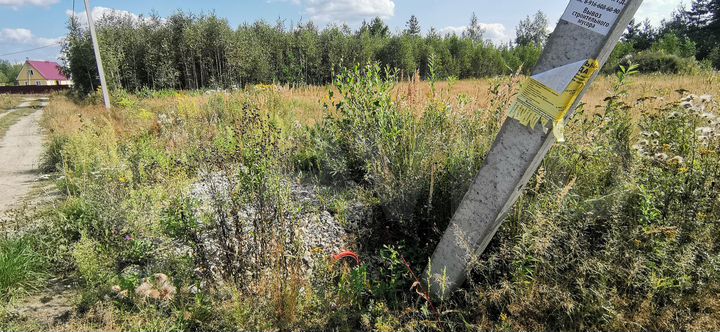 Участок 35 сот. (СНТ, ДНП)