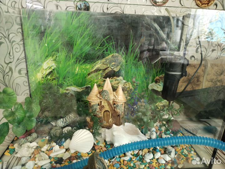 Аквариум
