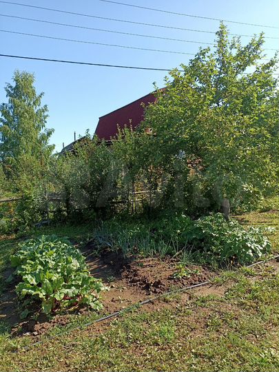 Дом 30 м² на участке 6 сот.