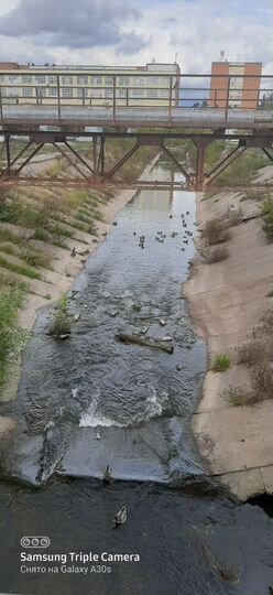 Комната 15,1 м² в 8-к., 5/5 эт.