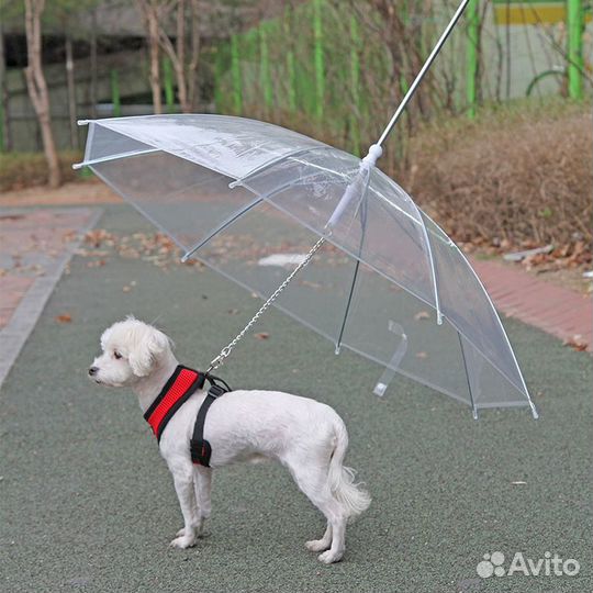 Зонт для выгула собаки