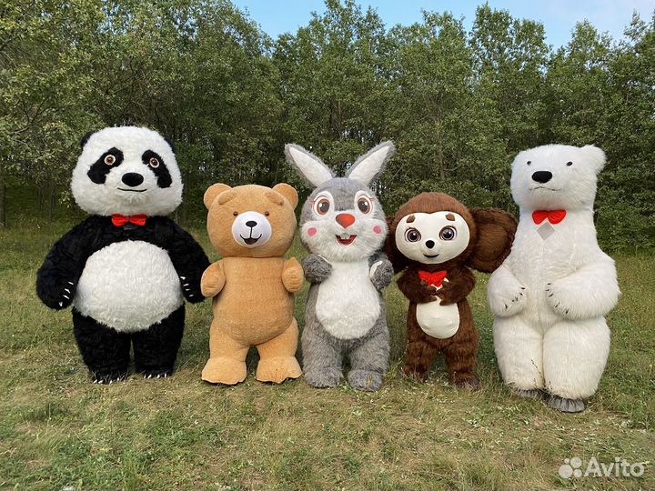 Экспресс поздравление