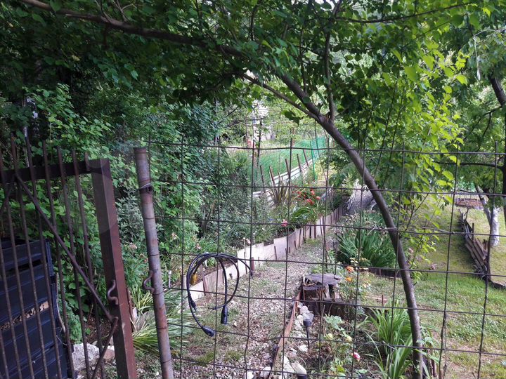 Участок 7,6 сот. (СНТ, ДНП)