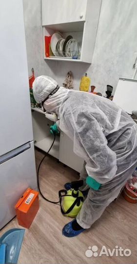 Средство для Уничтожения клопов, тараканов, крыс Дезинфекции