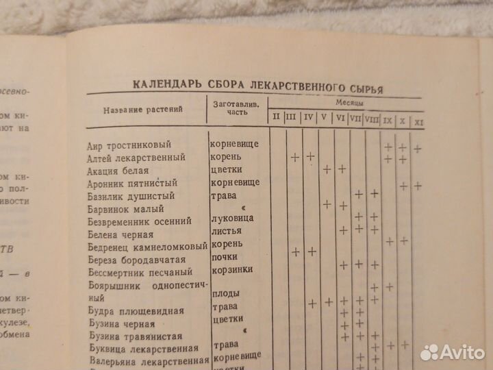 Лекарственные растения (В. Флоря 1975г.)