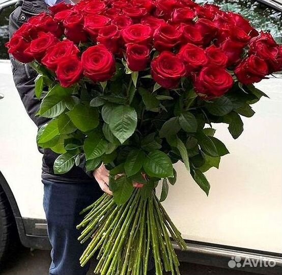 Розы Букеты Цветы Розы 31 101 151 201 Доставка