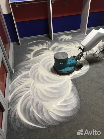 Аренда поломоечного ротора