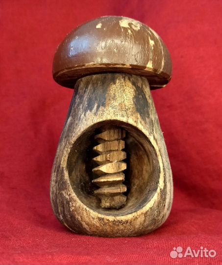 Старинный гриб орехокол