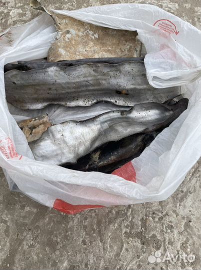 Продам свинец