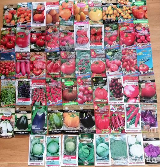 Предзаказ на рассаду томатов, перцев, капусты