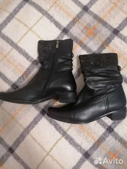 Сапоги осень весна женские