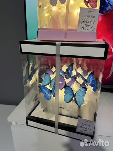 Бабочки в аквариуме объявление продам