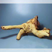 Коряга мопани *террариум *аквариум 41*28*20 вк309, Зеленоград