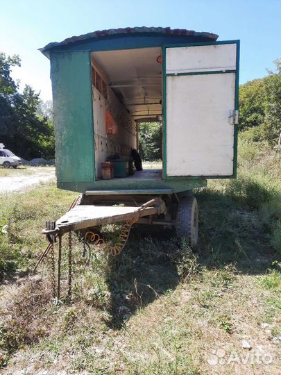 Пчелопавильон с пчелами