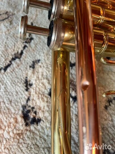 Труба Roy Benson TR 202