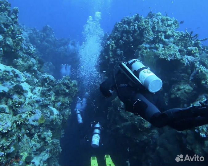 Обучение дайвингу (Международный сертификат)