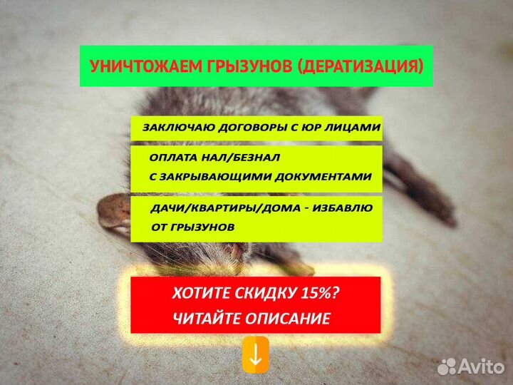 Дезинсекция Уничтожение тараканов клопов муравьев