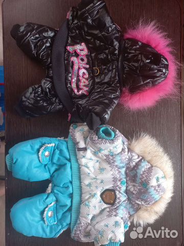 Одежда для мелких собак