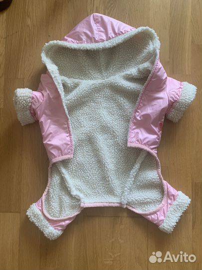 Одежда для собак