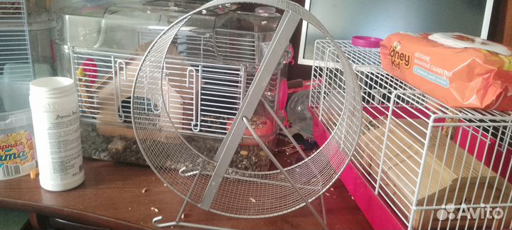 Колесо для грызунов 30 см