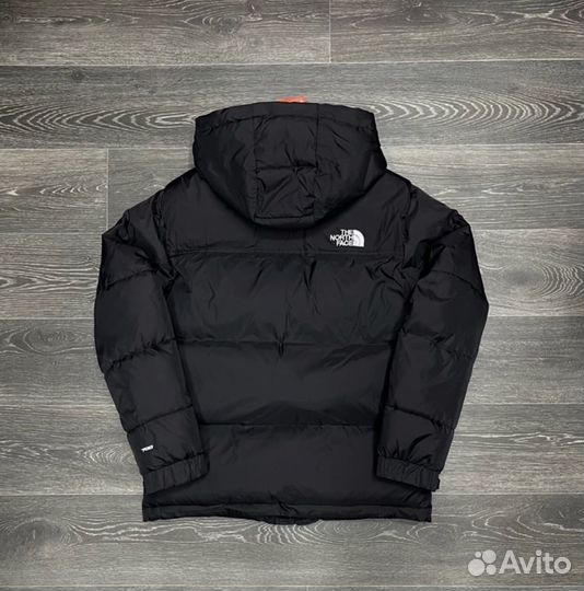 Новая мужская The North Face