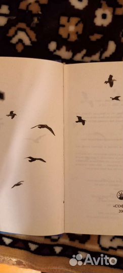 Ричард Бах.Чайка Джонатан Ливингстон