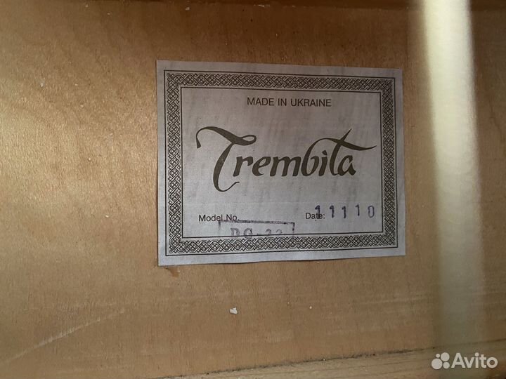 Акустическая гитара 12 струнная trembita