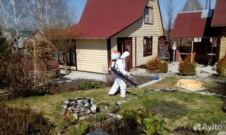 Обработка Уничтожение клещей, муравьев Дезинфекция