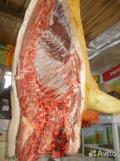 Мясо мангалицы, бройлера, козы, барана