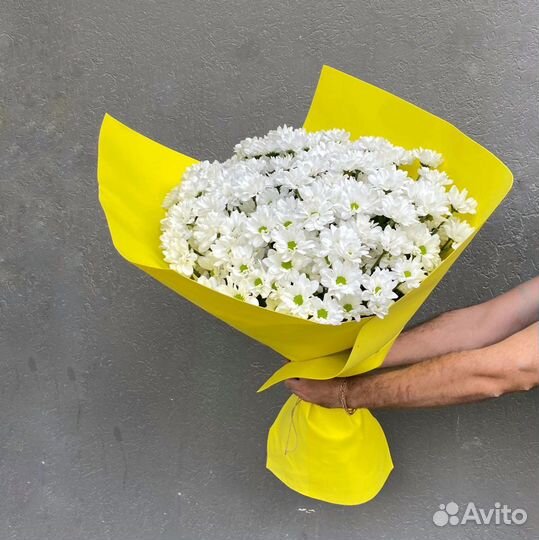 Букет ромашек M. Цветы. Доставка
