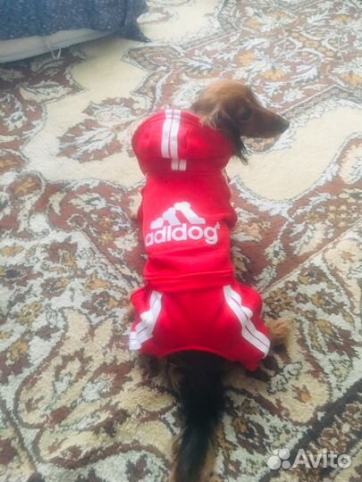 Костюмчик тёплый