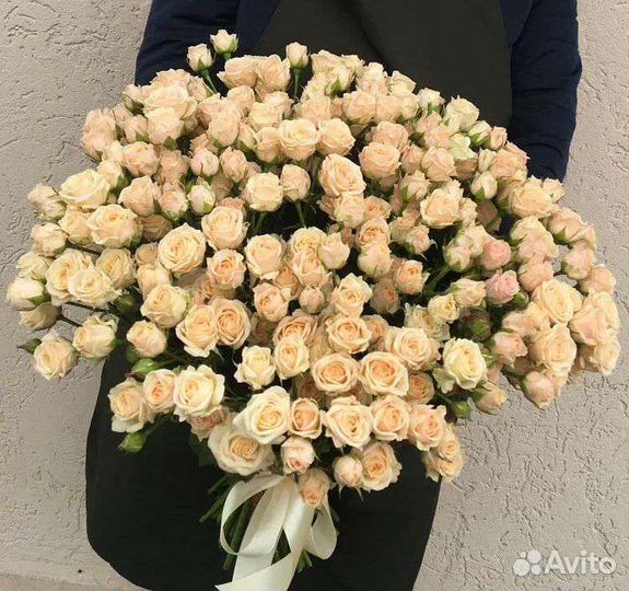 Роза кустовая