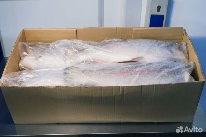 Лосось (Семга) и Форель охлажд,с\м в ассортименте