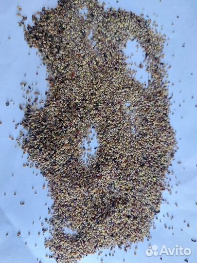 Семена клевера 70%, люцерна 15%, тимофеевка 15%