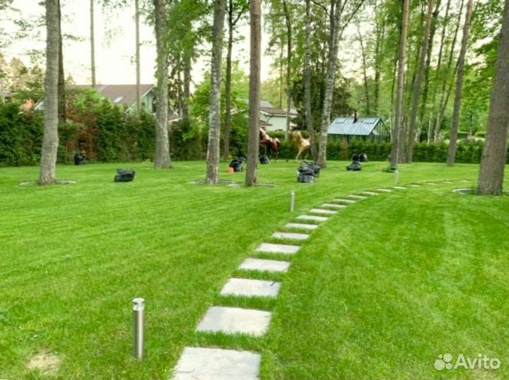 Рулонный газон 