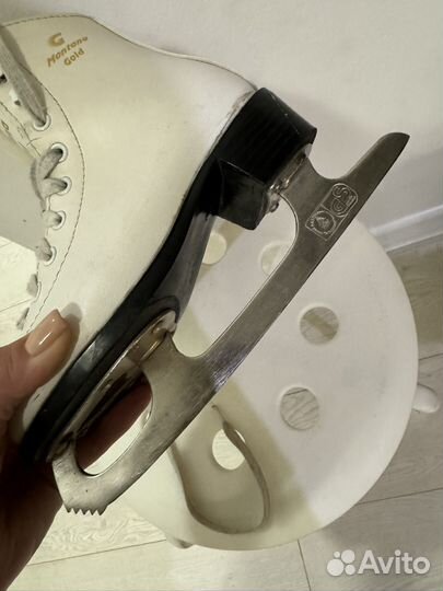 Коньки Graf montana