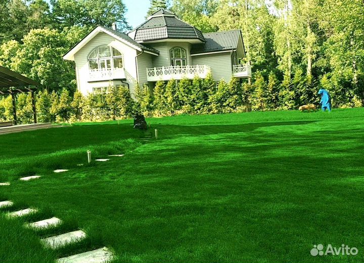 Рулонный газон 