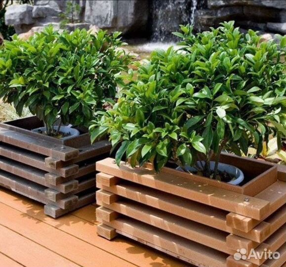 Вазоны Кашпо для цветов