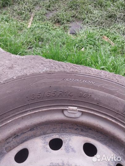 Sailun Ice Blazer WST1 185/65 R14