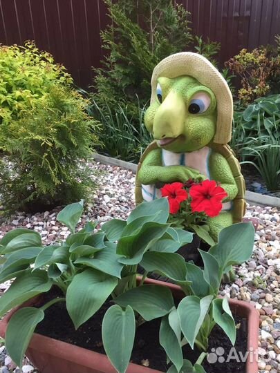 Форзиция и хоста