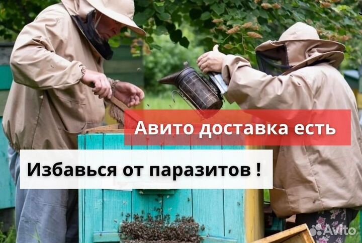 Очищение медовотравянное противогельминтное