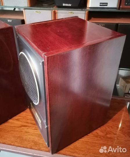 Колонки 10ас-203