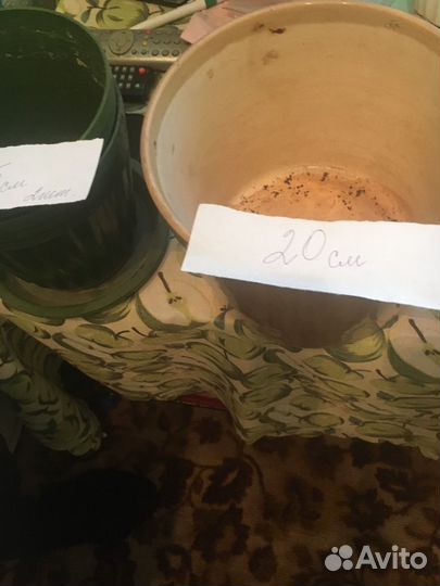 Цветочный горшок