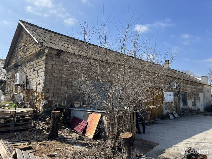 Камень ракушечник