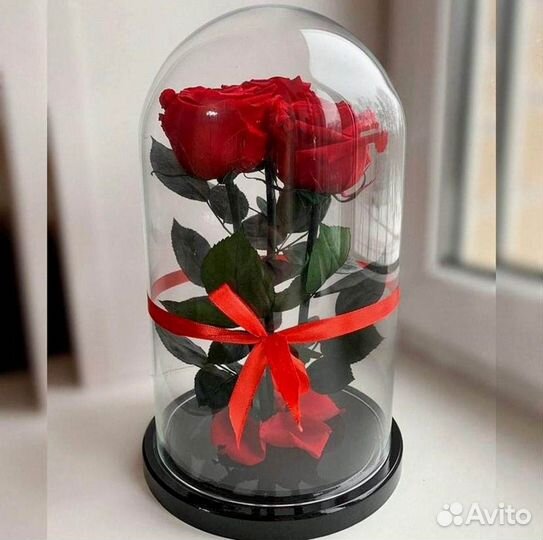 Розы в колбе на выбор