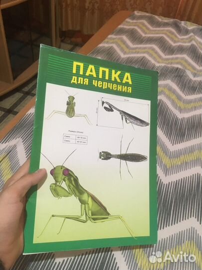 Атлас