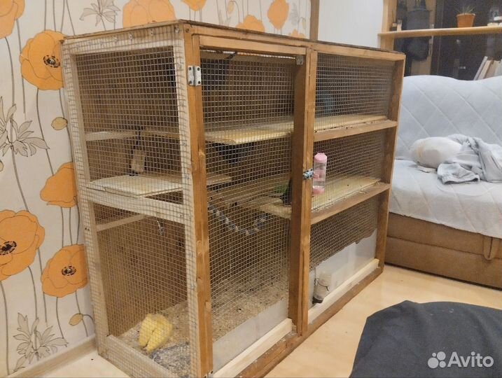 Отдам 4-х крыс дамбо вместе с вольером