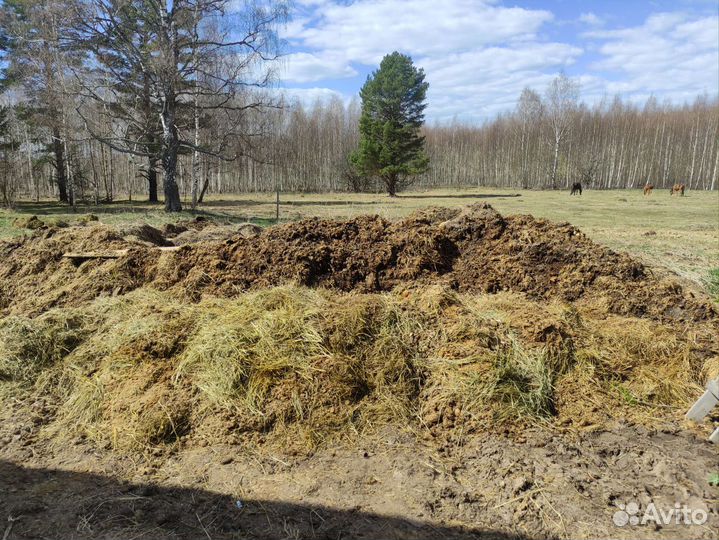 Конский навоз